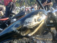 /album/fackersee/a263854-486281421384604-64779109-n-jpg/